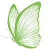 Icon_Vlinder_groen (100px)